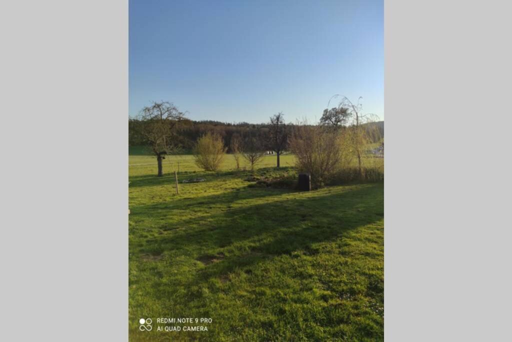 Schoene Helle Ferienwohnung In Waldnaehe Berching Buitenkant foto
