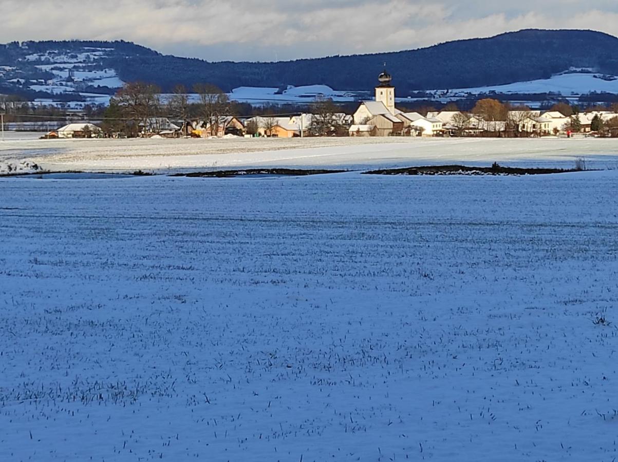 Schoene Helle Ferienwohnung In Waldnaehe Berching Buitenkant foto